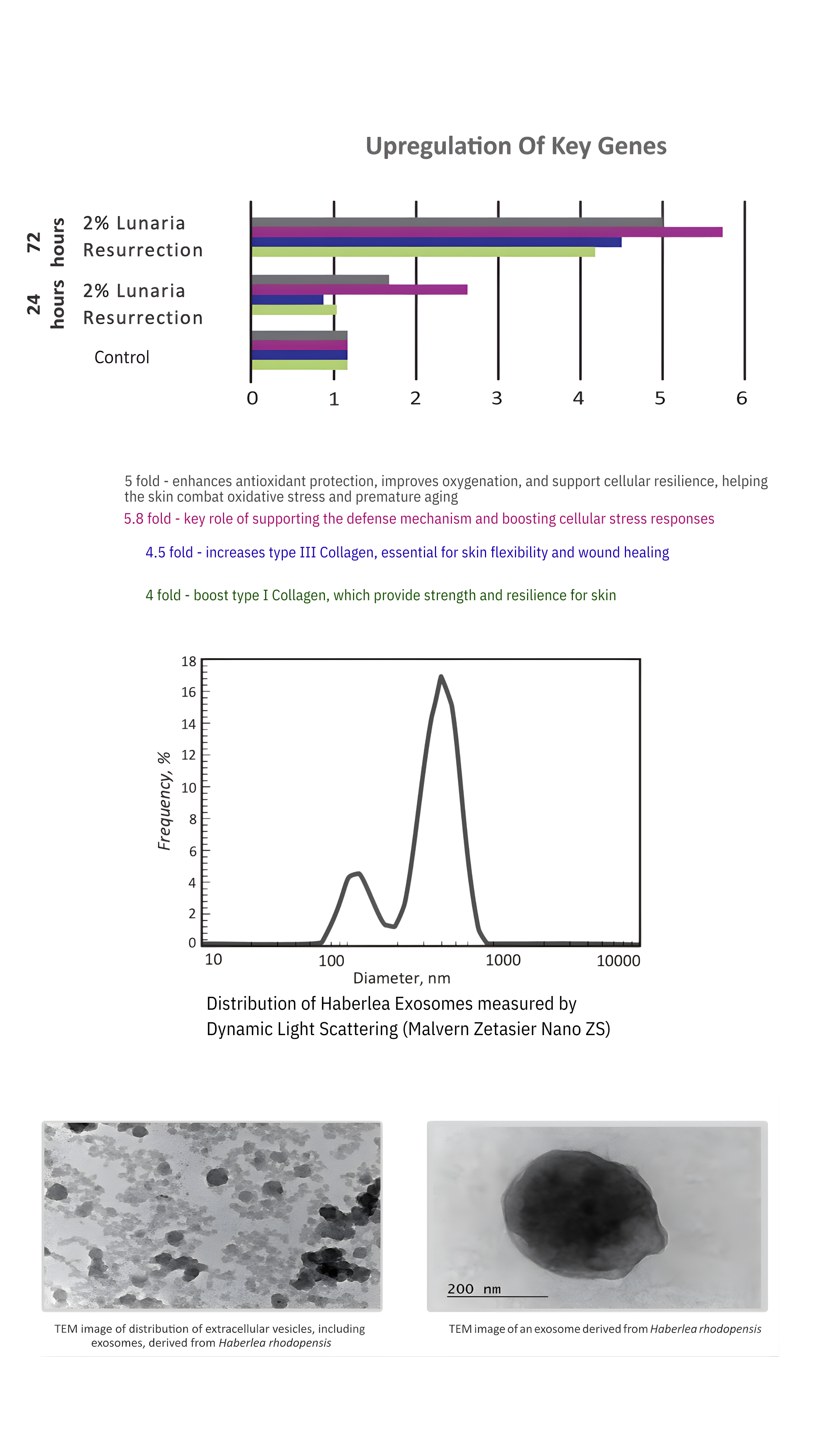 Lunaria Exosome research data 3