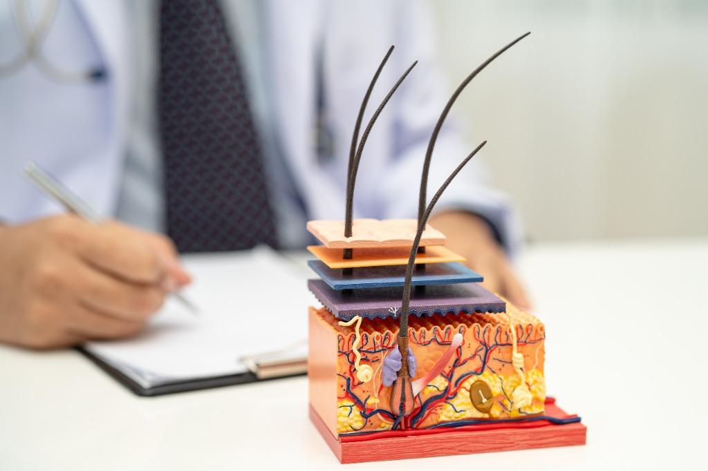 Close-up of healthy scalp and hair illustrating Lunaria biotech science